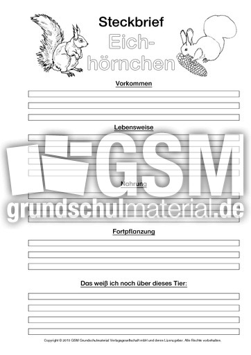 Eichhörnchen-Steckbriefvorlage-sw-2.pdf